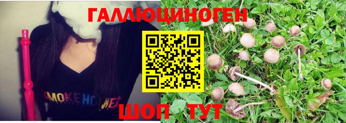 Кстово  Псилоцибиновые грибы Magic Shrooms  Вход с VPN 