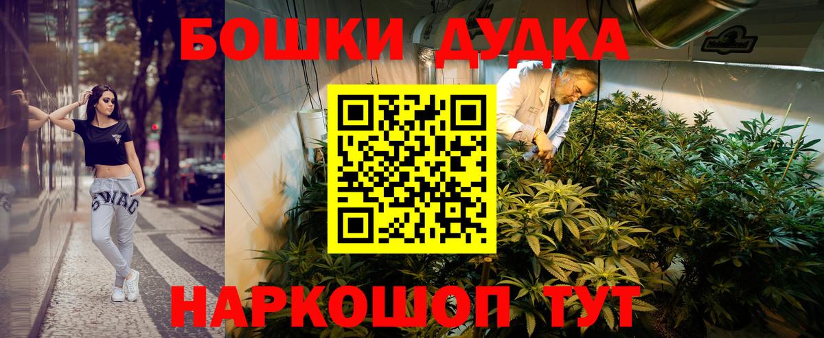 Бошки марихуана AK-47  Шишки марихуана план  Конопля White Widow  Вход с VPN  Кстово 